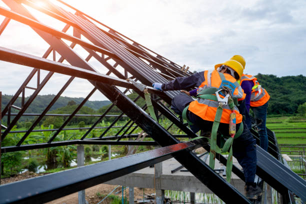 Best Roof Gutter Cleaning  in Fussels Corner, FL