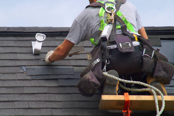 Best Shingle Roofing Installation  in Fussels Corner, FL
